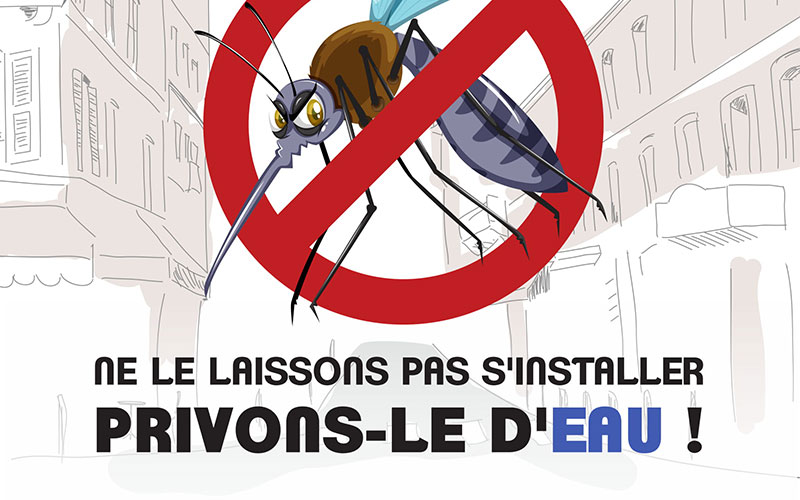 La lutte contre le moustique est l'affaire de tous