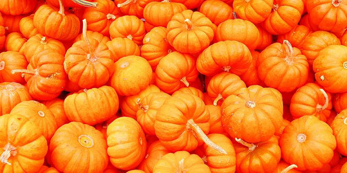 mairie-de-muret-agenda-fete-de-la-citrouille