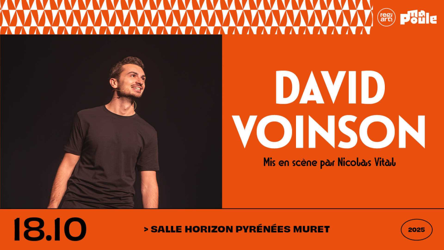 VISUELS DAVID VOINSON - FB BANNER
