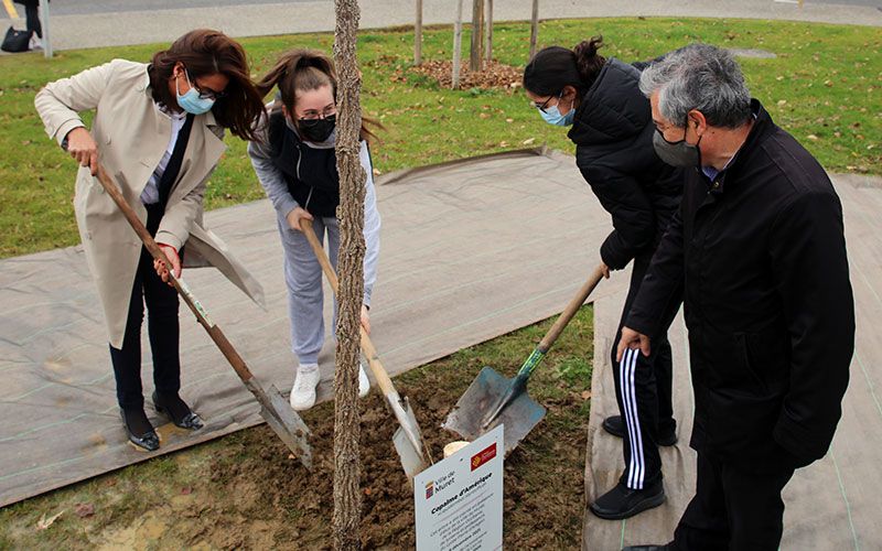 L'arbre de la laïcité 2021 a été planté devant le lycée d'Aragon ce 8 décembre.
